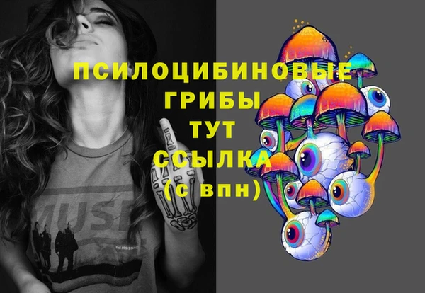 прущий лед Белокуриха