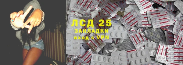 PSILOCYBIN Беломорск